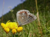 Samice, jižní Slovensko. Foto M. Hrouzek