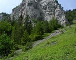 Biotop, Súľovské skaly, Slovensko, 2014. Foto M. Hrouzek