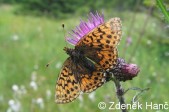 Jižní Čechy. Foto Z. Hanč